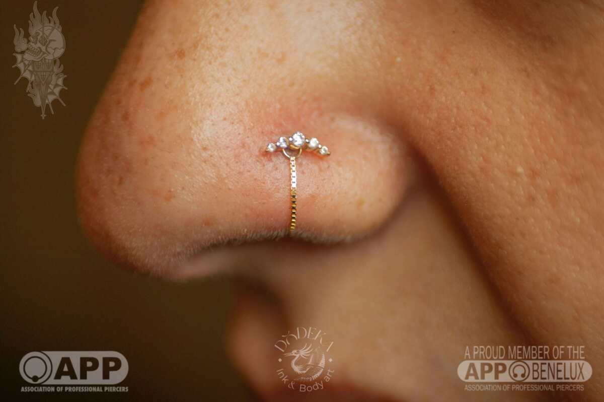 WhatsApp Image 2026-01-17 at 12.51.10